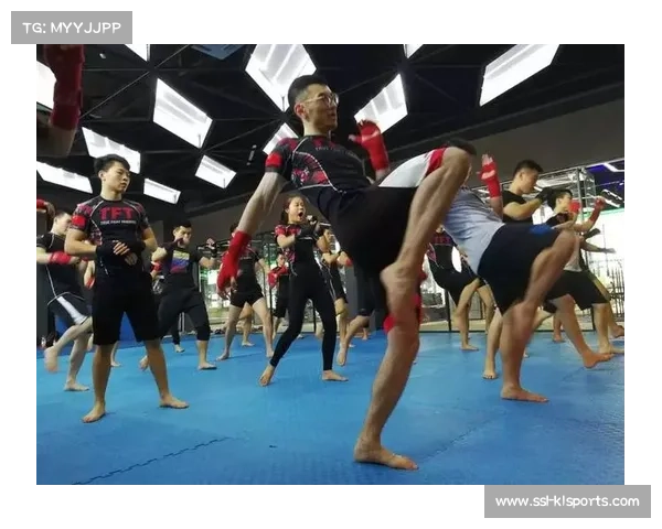 综格斗裁判培训标准化推进，国际认证体系引入提升赛事公正性